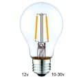 12 volt E27 Filament lamp A60 2W